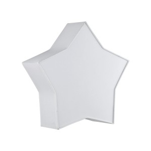 STAR WHITE LAMPA SUFITOWA 2 4514 TK Lighting