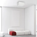 112524