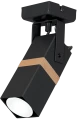 116398