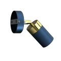 116904