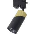 117251