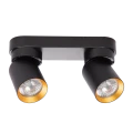 118263