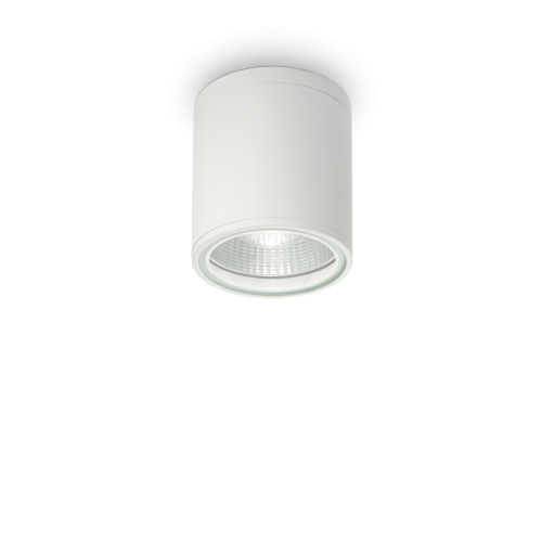 f4384b7df01ec25aa05d8c377c21f8ab