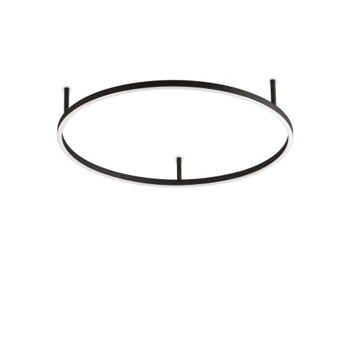 0d3306ec2a12b41e83af2623bf91e886