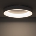 15613a45d57df66f954c6aa3fea551d6