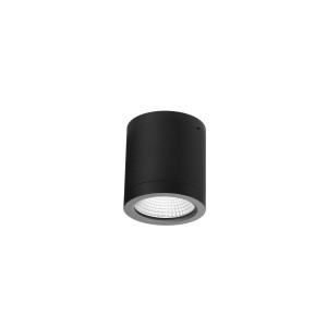 Spot CONYON IP54 10W CCT SWITCH BK AZ6025 AZzardo