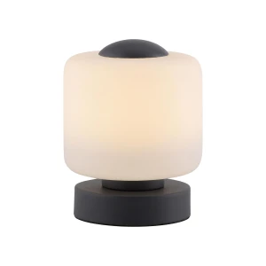Lampa stołowa BOTA 1 - punktowa antracyt PaulNeuhaus - 4037-13