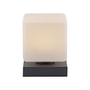 Lampa stołowa DADOA 1 - punktowa antracyt PaulNeuhaus - 4036-13