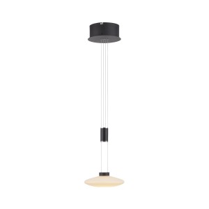 Lampa wisząca sufitowa LAUTADA 1 - punktowa czarny PaulNeuhaus - 2080-18