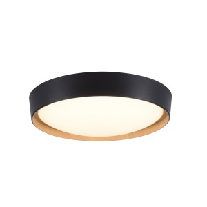 Lampa sufitowa EMILIA 1 - punktowa czarny LeuchtenDirekt - 14347-18