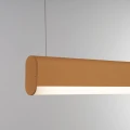31b6c1871f06f810d9f27dfeef954308