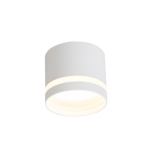Oprawa natynkowa Kendal biała GX53 LP-6331/1SM R1 WH Light Prestige