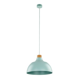 CAP MINT LAMPA WISZĄCA 1 5901 TK Lighting