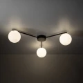 115f8e6da19c4d2b6f8992671a634d62