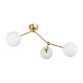 25ca04582b65500a475bf267212d55b4