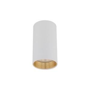 AMIS WHITE  DOWNLIGHT 10719 TK Lighting