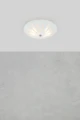 274032