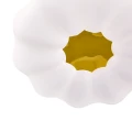 480c8c5a358f87005617690059569d6e