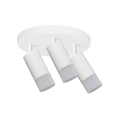 1fd11470dce0bf1a2a83b80b562d1ffa