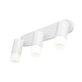 f8a23a9e49f4565c6d816f968107f286
